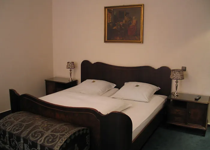 酒店 Zur Krone 格舍尔